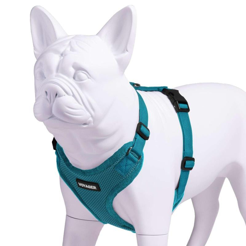 Step-In Lock Harness with Air Mesh for Pets