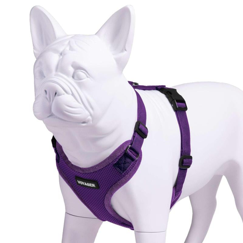 Step-In Lock Harness with Air Mesh for Pets
