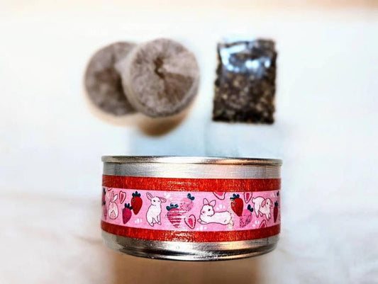 Chia Microgreens Grow Kit for Small Pets - Pink Bunny Design